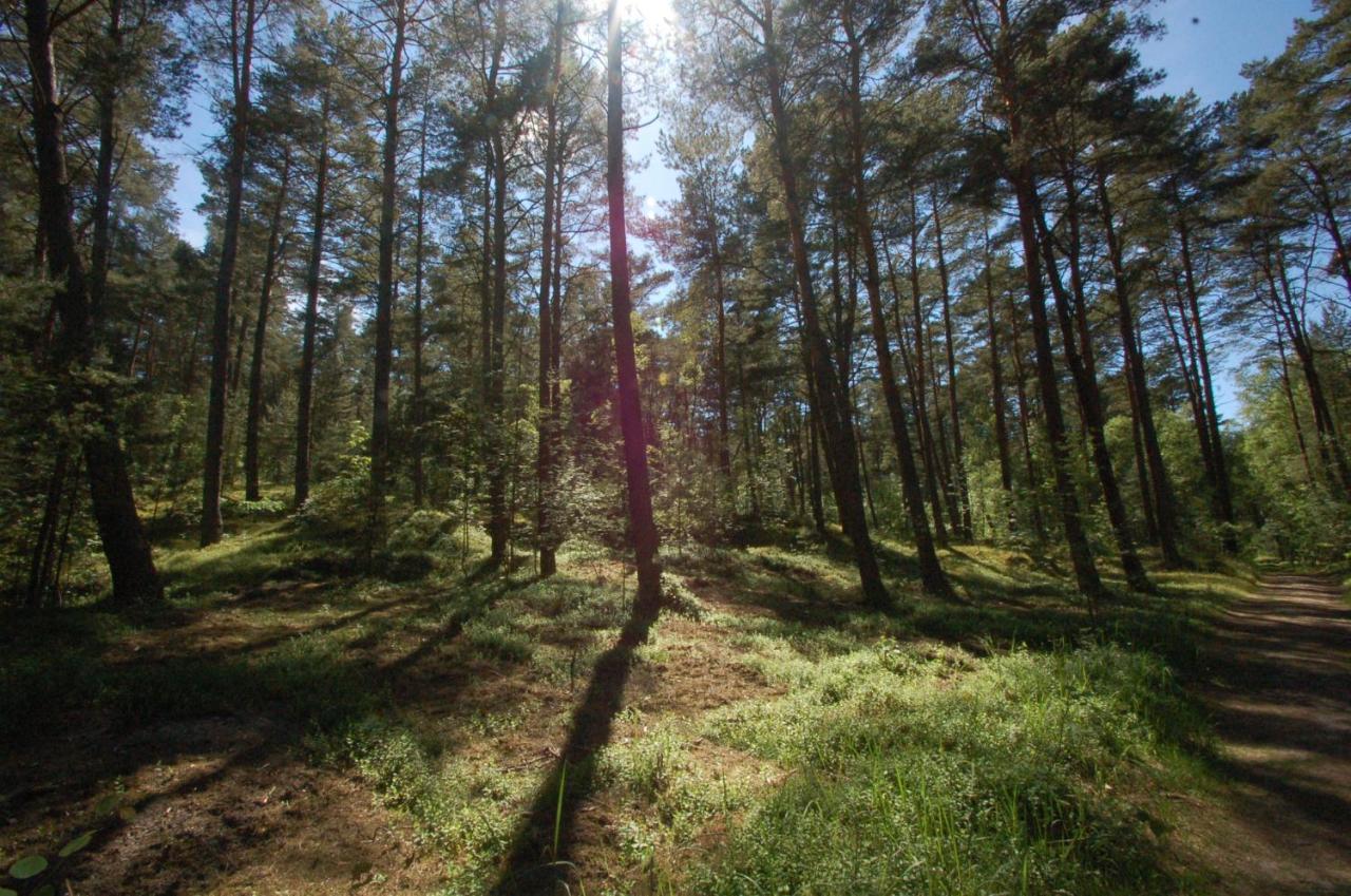 Karuba Resort, Sobieszewo- - Wyspa Sobieszewska Lodget Gdańsk